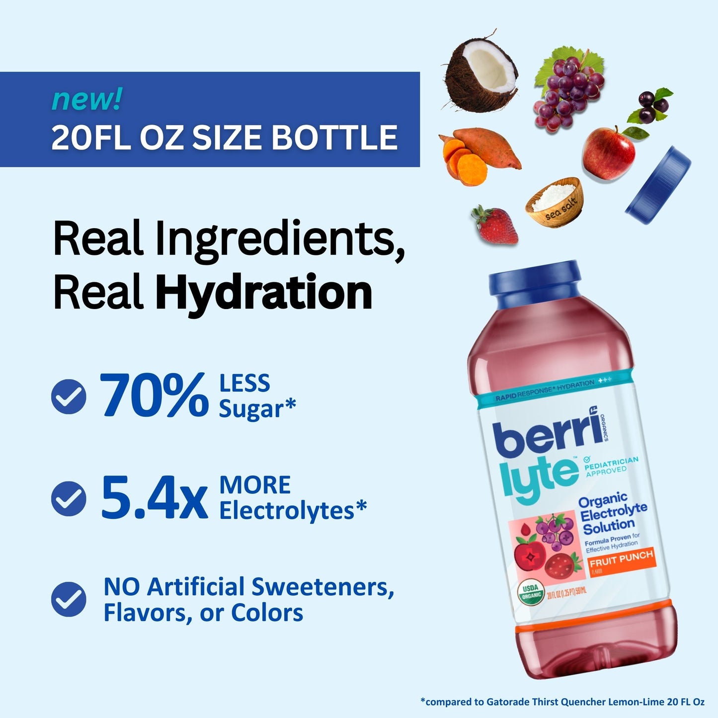 real ingredients organic electrolyte solution