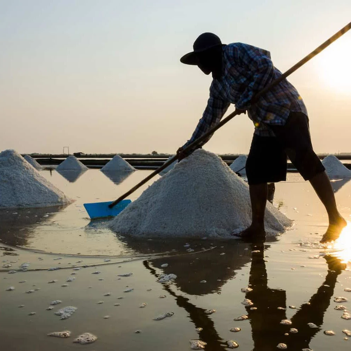 Sea Salt